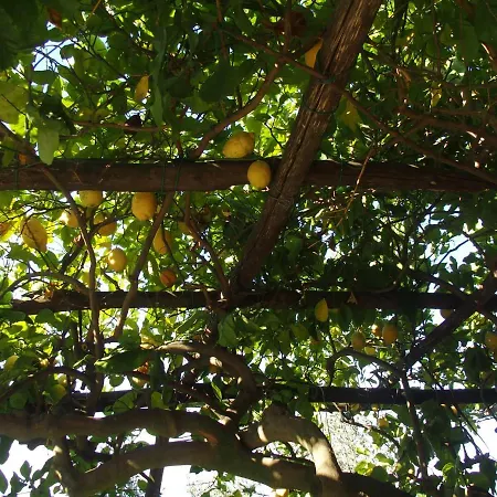 Giardino Sul Mare * Amalfi