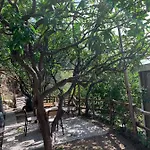 Apartment Giardino Sul Mare