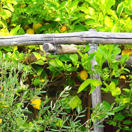 Giardino Sul Mare Appartement