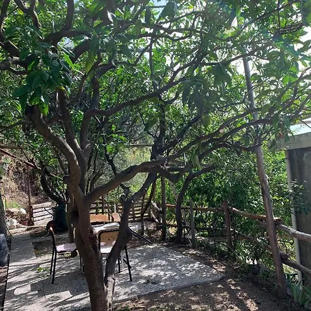 Appartamento Giardino Sul Mare