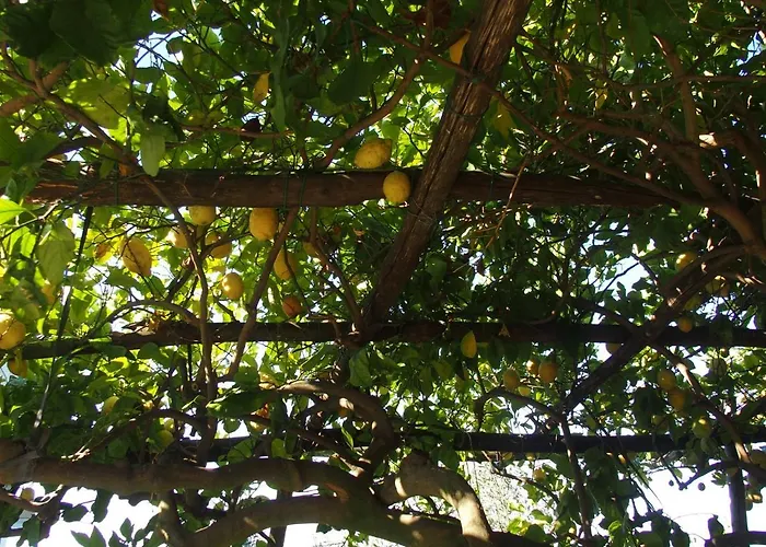 Giardino Sul Mare * Amalfi