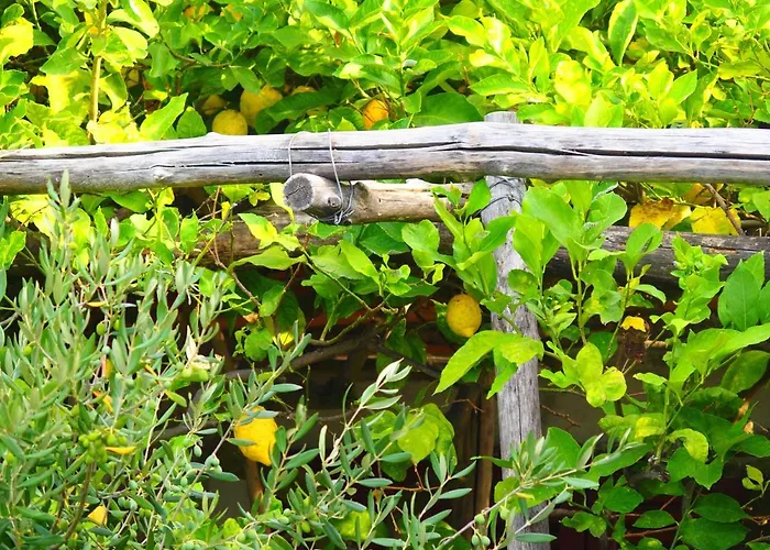 Giardino Sul Mare Appartement