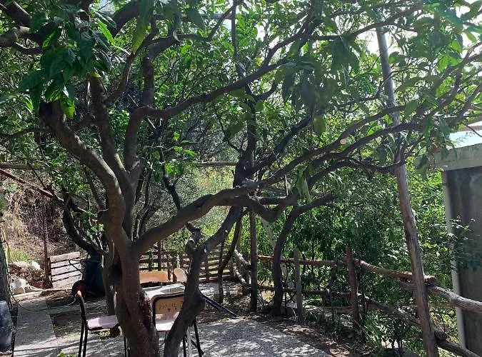 Lejlighed Giardino Sul Mare