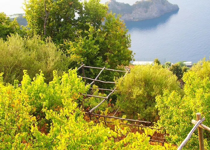 Lejlighed Giardino Sul Mare Amalfi